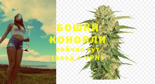 наркотики Болотное
