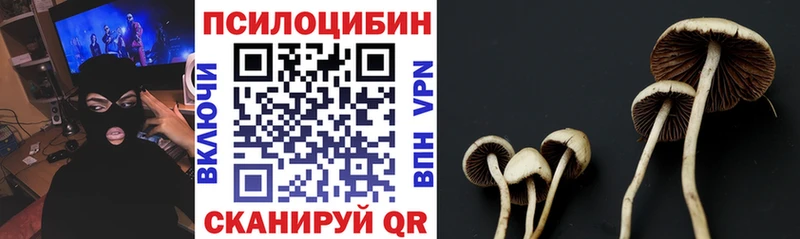Псилоцибиновые грибы прущие грибы  площадка клад  Тетюши 